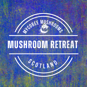 Mushroom Retreat, 14th- 15th October 2023.
