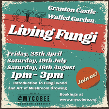 LIVING FUNGI 2025 EVENTS AT GCWG.