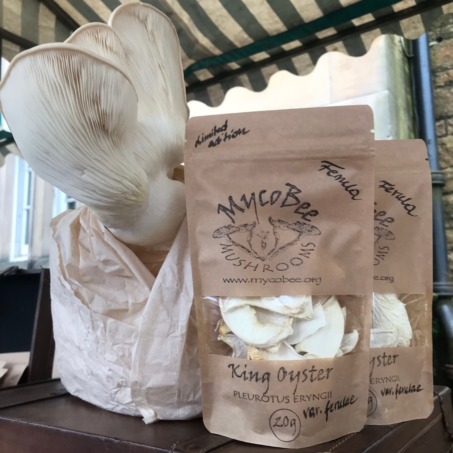 Ferula Oyster dried mushrooms 20g