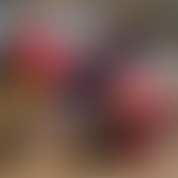 MycoKids at GCWG, 18.07.2025