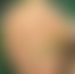 Peppery Bolete (Chalciporus piperatus), Mycobee Library No.176