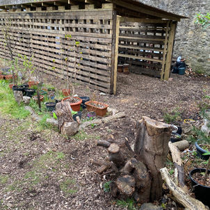 09.04.2025 Community Mushroom Farming with Mario