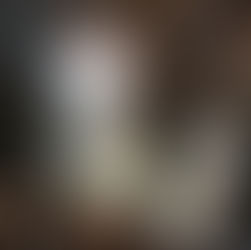 Bulbous Honey Fungus (Armillaria gallica), Mycobee Library No.45