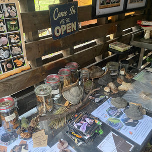 29.11.2025 Fair Saturday