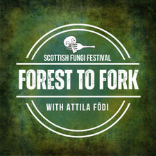 4th Forest to Fork Fungi Festival SCOTLAND 2023.