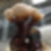 Thumbnail: Organic Reishi Powder 40g pouch