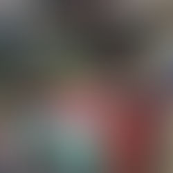 Living Fungi, GCWG, 19.07.2025