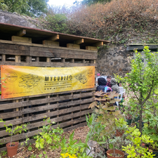 04.06.25 Community Mushroom Farming at Granton Castle Walled Garden