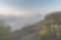 AdobeStock_427742841_edited.jpg