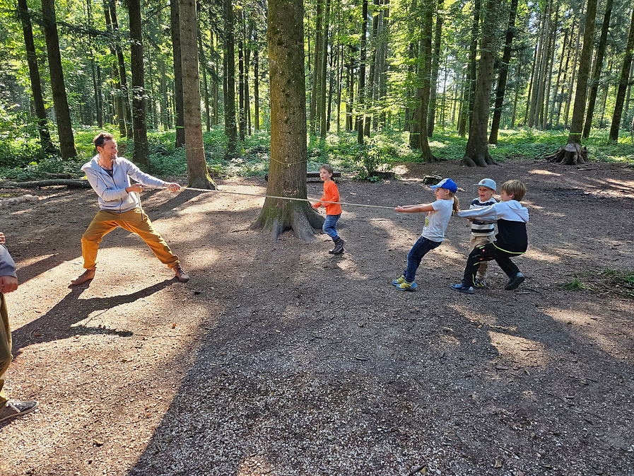Slidebalken Waldwurzelwoche