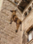 38617_cat_ESCALA_INF_630_842