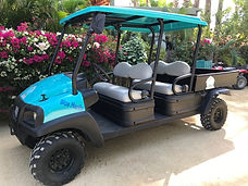 Kart Rental