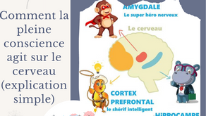 Comment la pleine conscience agit sur le cerveau (explication simple)