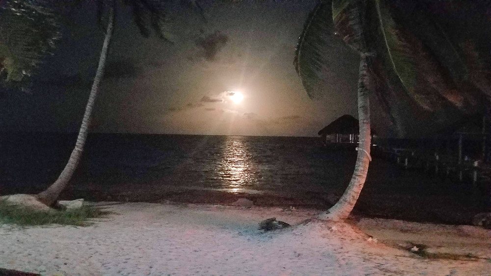 Full moon off Ambergris Caye, Belize (credit Gist Say'n)