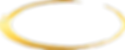 circulo o ovalo dorado.png