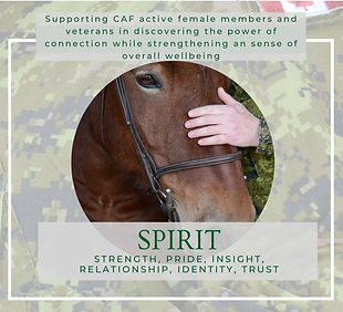 SPIRIT Promo_edited.jpg