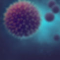 allergy-gallery-3.jpg