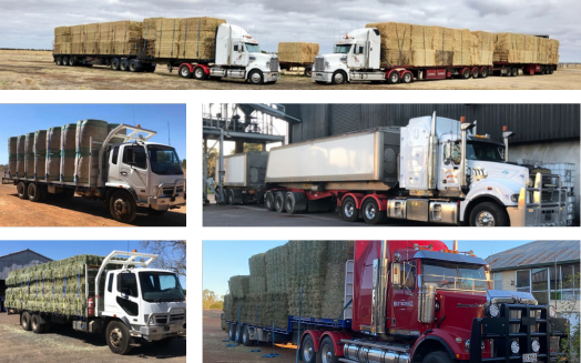 Truck Variations for Hay Delivery