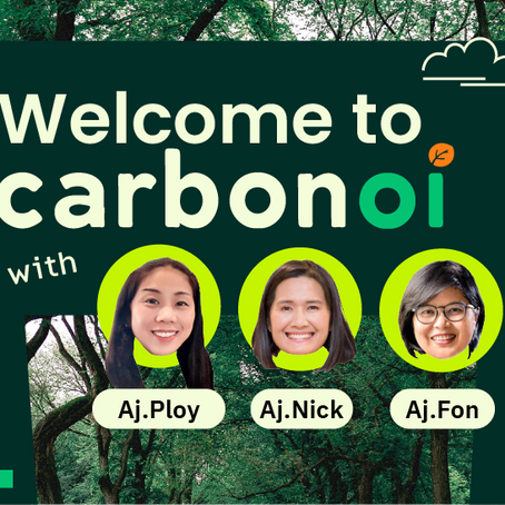 Hello! Welcome to the Carbonoi Page.