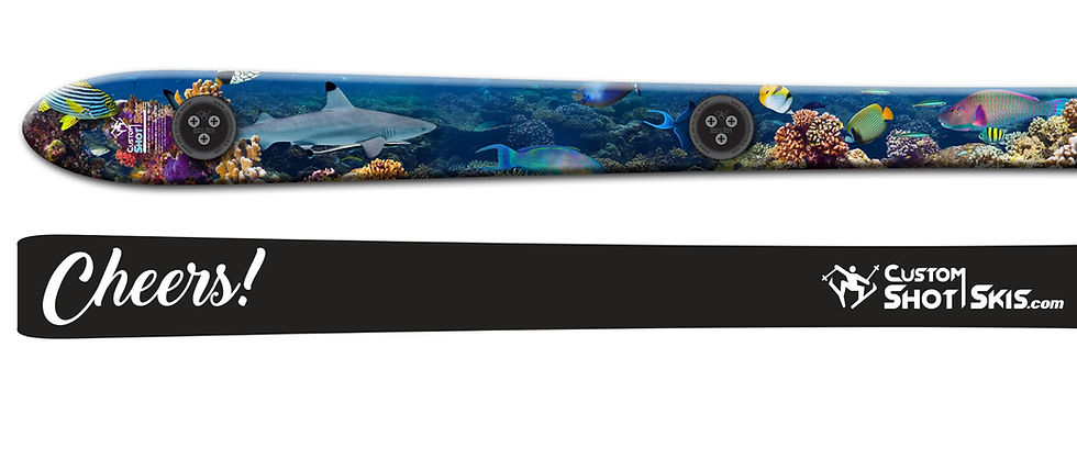 Thumbnail: Corel Reef