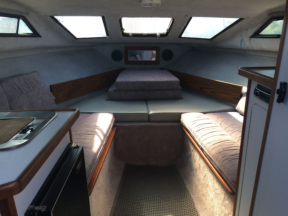 Thumbnail: Used Rinker Fiesta Vee 250 with trailer