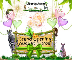 Grand Opening(4)
