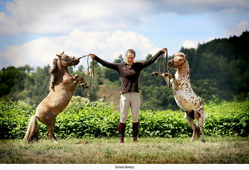 Cours et stages L'Authentique Domaine Equestre Lieu Dit La Virée 42260 SAINT-POLGUES