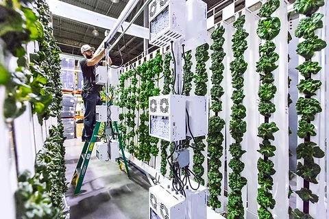 Zipgrow Towers Greenlife Planet