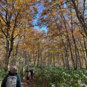 2025.10.22 #16 木島平村カヤの平
