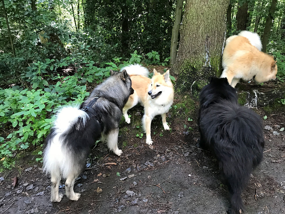 Meine tollen Eindrücke