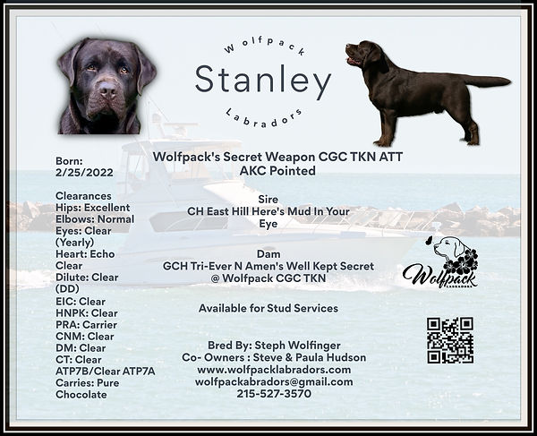 Untitled 10 x 8 in 10 x 8 in-8.jpg