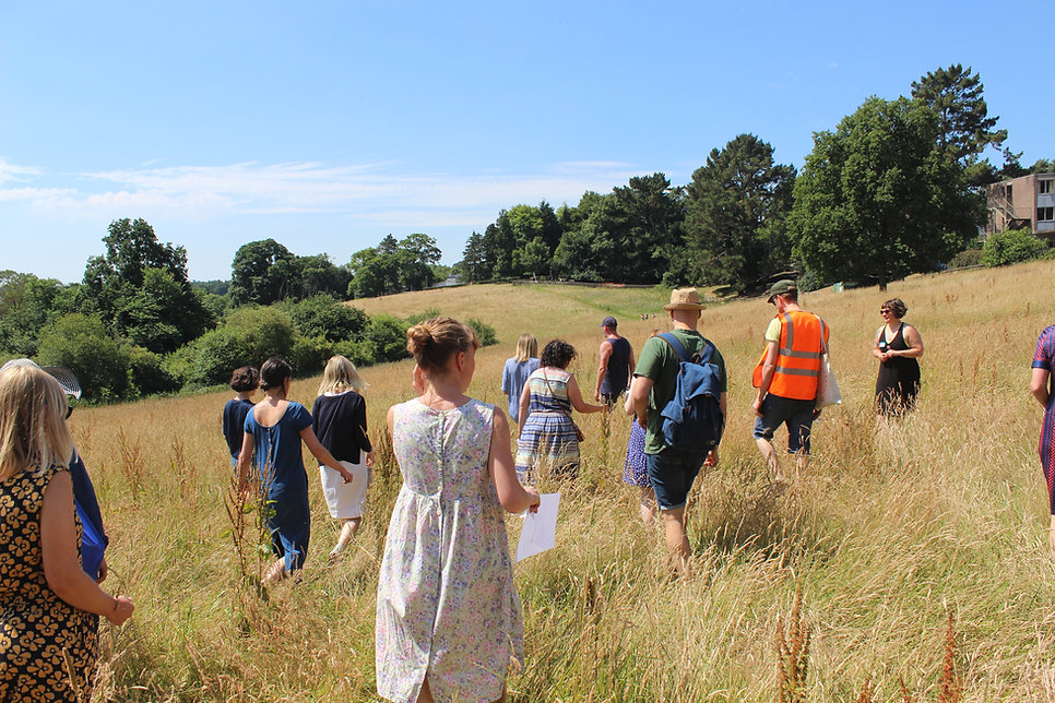 Image description: Nestled in the bright, sunny countryside, people clutching paper and bags wander through th field.