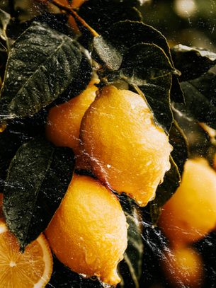 Lemon