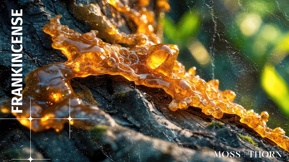 Frankincense