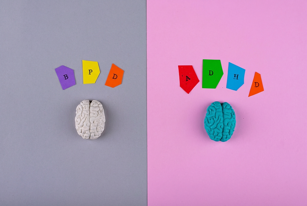 Two clay brains, one grey on a grey background with the inscription "BPD" and purple, yellow and orange shapes, and one blue on a pink background with the inscription "ADHD" and red, green, blue and orange shapes.
