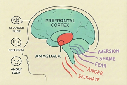 Gehirn mit gekennzeichneten Arealen