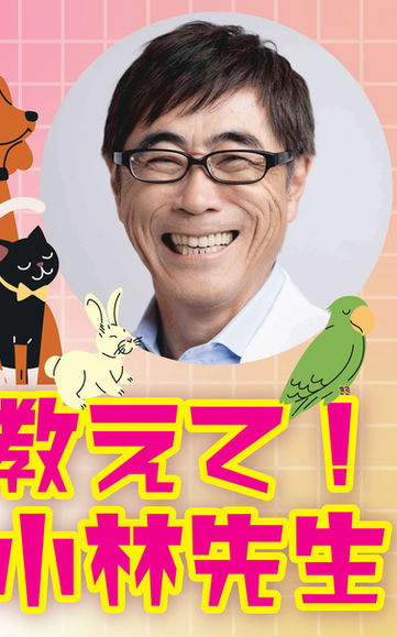 教えて！小林先生