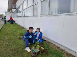 Forjadores Ambientales Celebran el Día del Medio Ambiente con Plantación de Plantas Nativas