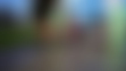 Exitosa realización de la 3ª Corrida Familiar 2026