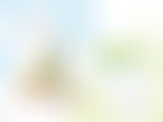 Plan de Funcionamiento 2023