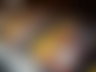 Licenciatura Cuarto Medio 2022