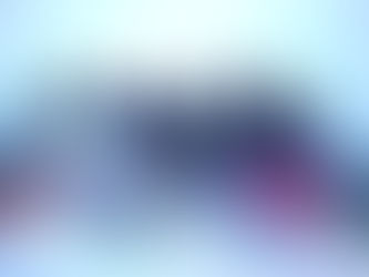 Primera Feria de la Pulgas