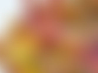 Winterpret: Creatief met blaadjes!