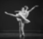 2017-DDF-BTD-Wright.Pavon.Corsaire.edit copy.jpg