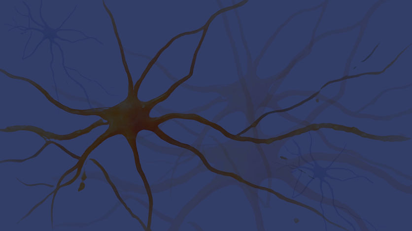 Neurons_edited_edited.jpg