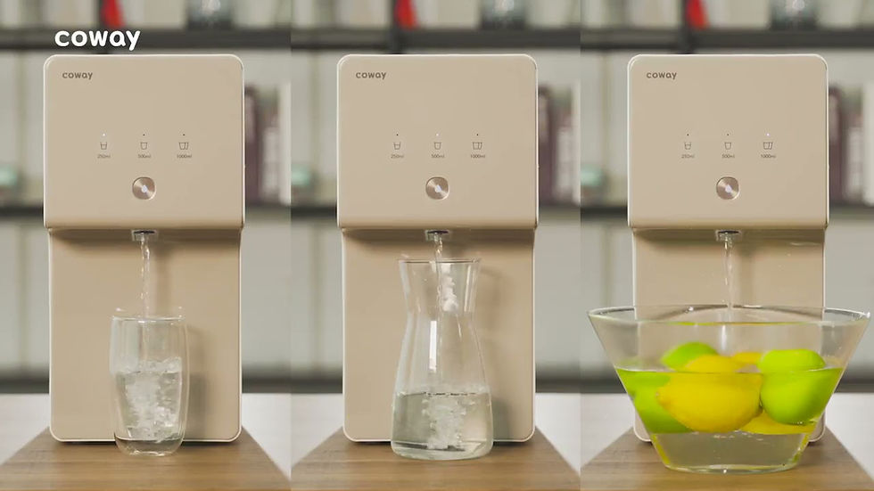 The New Cinnamon Water Purifier