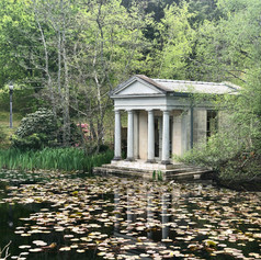 lilly pads1.jpg