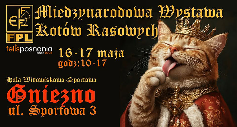 wystawa_gniezno 1.jpg