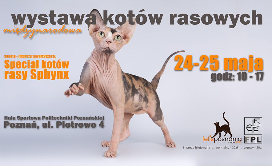 plakat FP poziomy FB(1).jpg