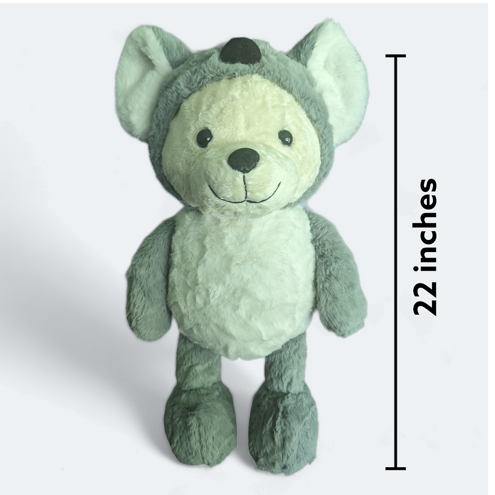 Thumbnail: Stash Away Bear  - Koala
